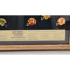 Image 10 : Vintage 1984/1985 NFL Collector Pins Limited Edition Series #1 David Inc. In Glass Display