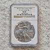 Image 1 : NGC MS69 Graded 2014(S) .999 Fine Silver 1oz. Eagle