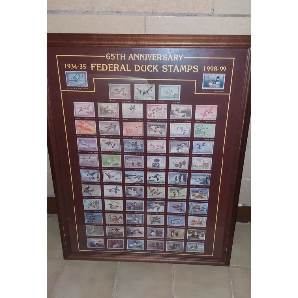 Large 36" x 24" Federal Duck Stamp Poster Framed Under Glass 