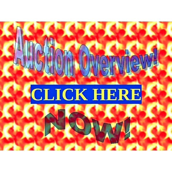DETAILED OVERVIEW OF THIS AUCTION  - PLEASE CLICK HERE AND REVIEW!