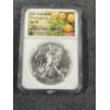 Image 1 : 2019 United States American Silver Eagle .999 Fine Silver Troy Ounce Coin 
Graded NGC - MS 70