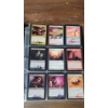 Image 1 : Large Assortment Of Magic The Gathering Cards Including Signed, Holos & Common Cards