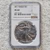Image 1 : NGC MS69 Graded 2017 .999 Fine Silver 1oz. Eagle