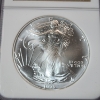 Image 2 : 1995 American Silver Eagle $1 - 1 oz .999 Fine Silver - Graded by NGC MS 69