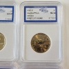 Image 4 : Six Assorted Years Sacagawea Dollar Coins Each Graded IGS MS65 - See Photos! 
