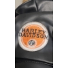 Image 3 : Collectible 1997-1998 Harley-Davidson "Panhead Pete" Plush 18" Biker Bear