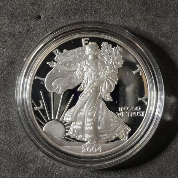 2004 American Silver Eagle