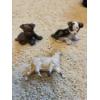Image 2 : *Pick Up At Mantua Home-No Shipping Available* Highly Collectable Vintage Cast Iron 3 Piece Train & 