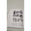 Image 6 : (3) Assorted Geology Books - Good Condition