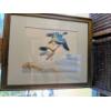 Image 1 : Beautiful Duck Framed Print 22'x27'