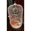 Image 1 : Wire Cage For Parakeets Or Small Birds - With Accessories Shown - Ex Condition