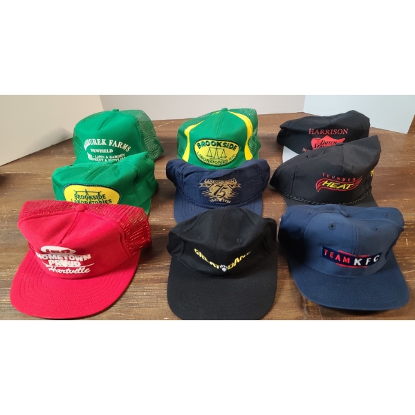 Assorted Lot Of Brand New Hats Including Thunder Heat, Brookside Laboratories & More