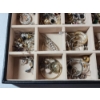 Image 7 : Huge Lot of Assorted Costume Jewelry: Rings, Earrings - In Large Jewelry Box!