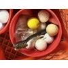 Image 4 : *Pick Up At Mantua Home-No Shipping Available* Tons of Golf Balls with Orange Crate