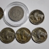 Image 6 : Nice Collection of Seven Assorted Collectible Nickels Including Liberty "V" Nickel & Buffalo Nickels