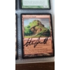 Image 3 : Large Assortment Of Magic The Gathering Cards Including Signed, Holos & Common Cards