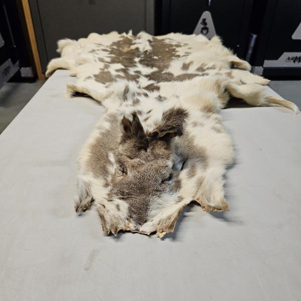 63" Vintage Tanned White-Tailed Piebald Deer Hide