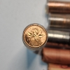 Image 4 : Nice Lot of Assorted Canadian Coins: 5 Cent & 1 Cent Coins, Various Conditions