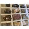 Image 7 : Interesting Rock Collection & Literature And Large Collection Of Natural Sand Dollars In Various Siz