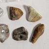 Image 5 : INCREDIBLE!!! Mineral Collection ft, Raw, Sliced, and Tumbled Lapidary Specimens (see description)