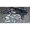 Image 1 : PICKUP IN CANTON - Hunting Bird (12 Doves) Decoys with Large Duffle Bag & Ground Pegs Included