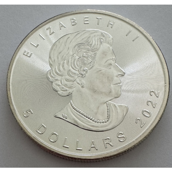 2022 1 Oz Canadian .9999 Fine Silver Maple Leaf Coin - Incredible Condition 
