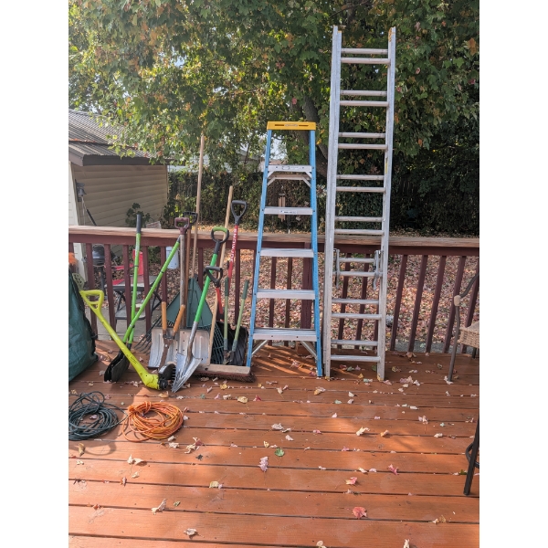 Aluminum Louisville 16' Extension Ladder & Werner 6' Fiberglass Ladder + More