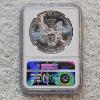 Image 2 : NGC MS69 Graded 2016 .999 Fine Silver 1oz. Eagle