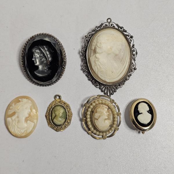 A Collection Of 6 Vintage And Antique Style Portrait Cameos