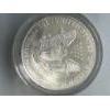 Image 2 : 1999 American Hand Painted Silver Eagle In A Capsule - Mint Condition