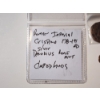 Image 2 : Lot of Ancient Roman/World Coins Including Silver Denarius ft. Crispina 178-191 AD