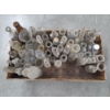 Image 2 : Neat Vintage Mini Glass Bottle Collection & 12'' x 21'' Raised Wooden Box 