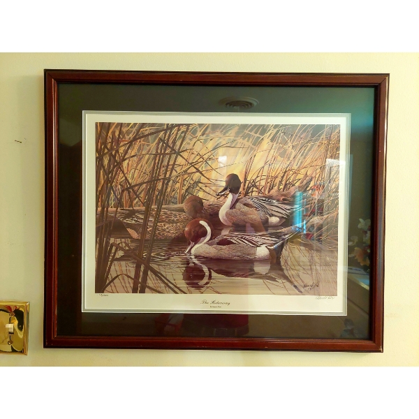 Large Framed Signed & Numbered Limited Edition Duck Print - 24" x 36" - Excellent