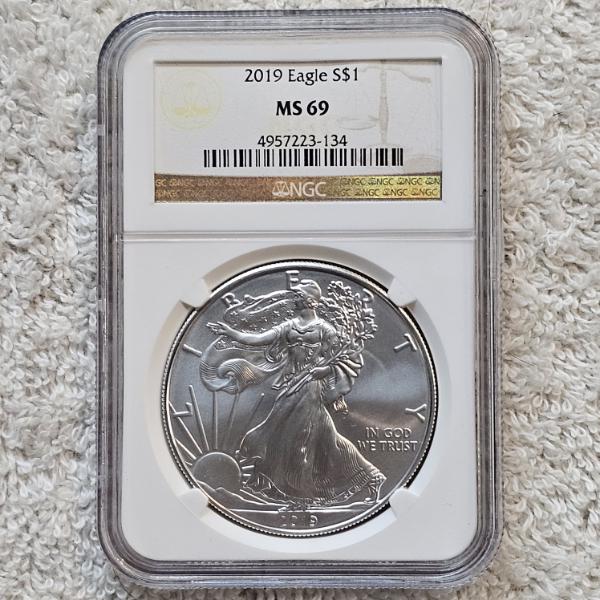 NGC MS69 Graded 2019 .999 Fine Silver 1oz. Eagle