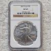 Image 1 : NGC MS69 Graded 2019 .999 Fine Silver 1oz. Eagle