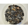 Image 3 : Container full of Shark Teeth - From Venice Beach Florida 