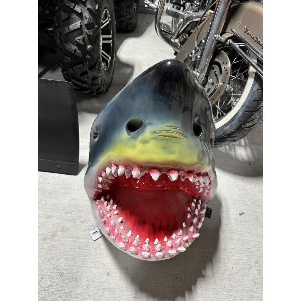 Shark Head Wall Mount 