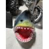 Image 1 : Shark Head Wall Mount 