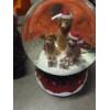Image 2 : Storage Tote With Holiday Decor Including Snow Globe, Light Up Snow Man, Wind Sock & More!