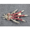 Image 4 : Sterling Silver Broch & Bracelet Weighing Total of 47.9 Grams
