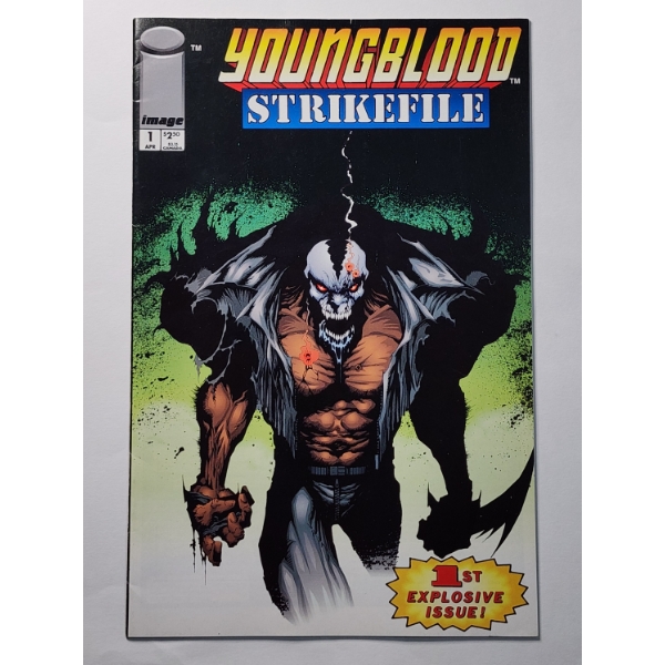 Youngblood Strikefile #1 Comic Book By Image Comics ~ INCREDIBLE DUAL COMIC ~ GREAT CONDITION!