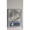 Image 3 : PCGS 2010 MS 69 First Strike 1 Troy Ounce .999 Fine Silver American Eagle