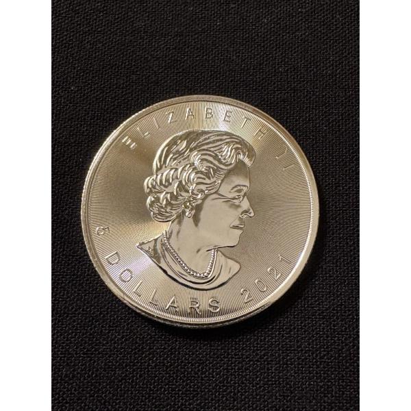 2021 Canadian Maple Leaf One Troy Ounce .9999 Fine Silver - Mint Condition