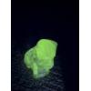 Image 2 : Degenhart Dogs - Clear - Adorable Uranium Glass Dog Figurine - ~2.5 inches 