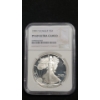 Image 1 : NGC 1991 PF 69 ULTRA CAMEO 1 Troy Ounce 99.9% Silver American Eagle