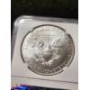 Image 4 : NGC MS69 2013-W 1 Oz Silver American Eagle First Releases - WEST POINT MINT!