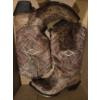 Image 2 : New Corral Vintage Size 7 Womans Boots