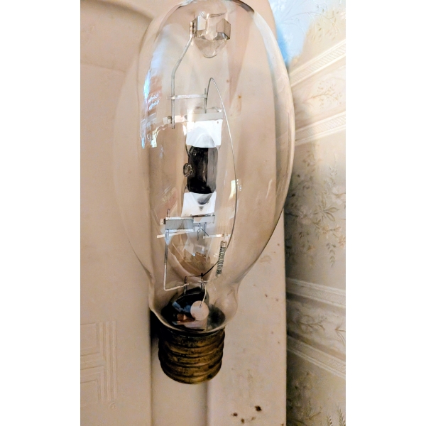 Vintage HaildeBulb And Authentic Coon Skin Cap