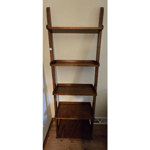 Leaning Ladder Shelf