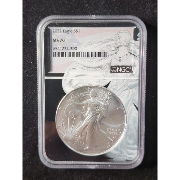 NGC MS70 2022 Silver 1 Oz American Eagle in Unique Slab Holder